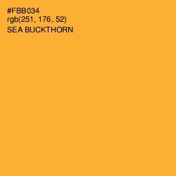 #FBB034 - Sea Buckthorn Color Image